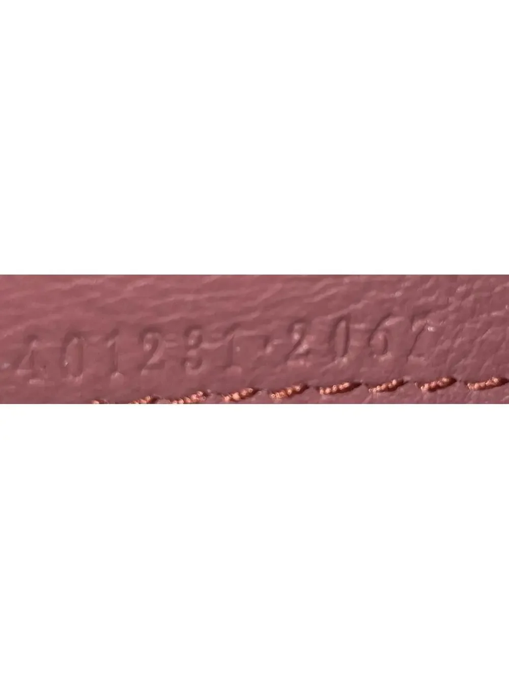 Gucci Dionysus Chain Wallet Blooms #294647G10B